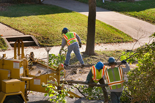 Leaf Removal in Palmyra, WI